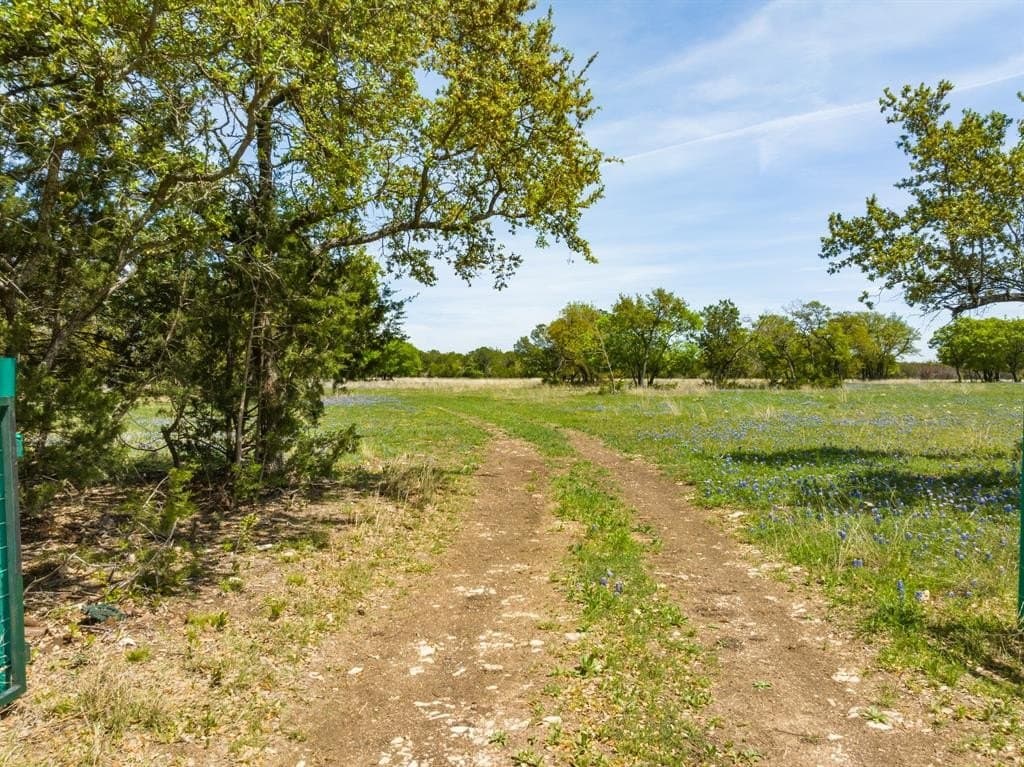 53.32 acres in Bosque County featured view