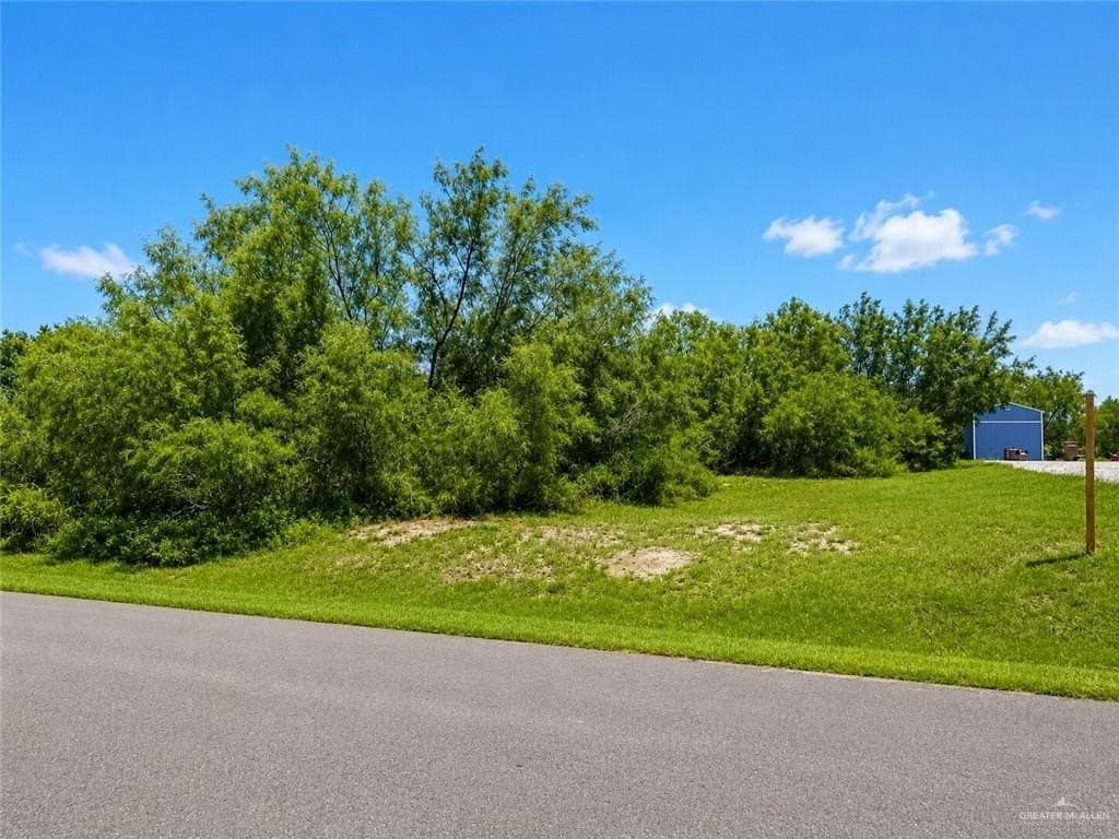 1 acres in Hidalgo County gallery image 3