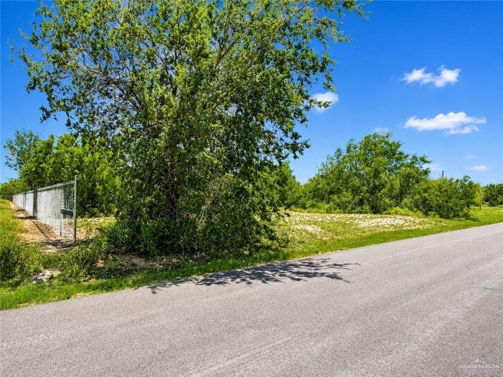 1 acres in Hidalgo County gallery image 2