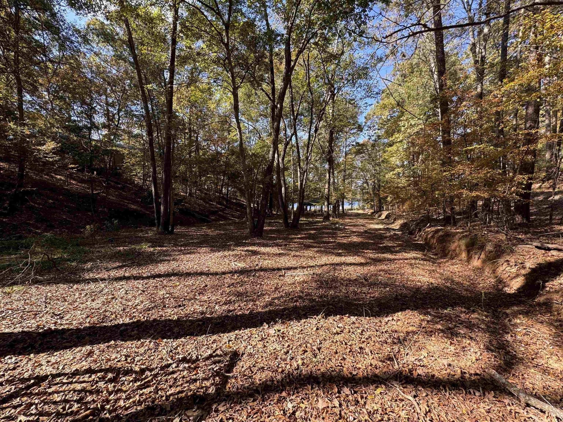 1.7 acres in Texas County - photo 8