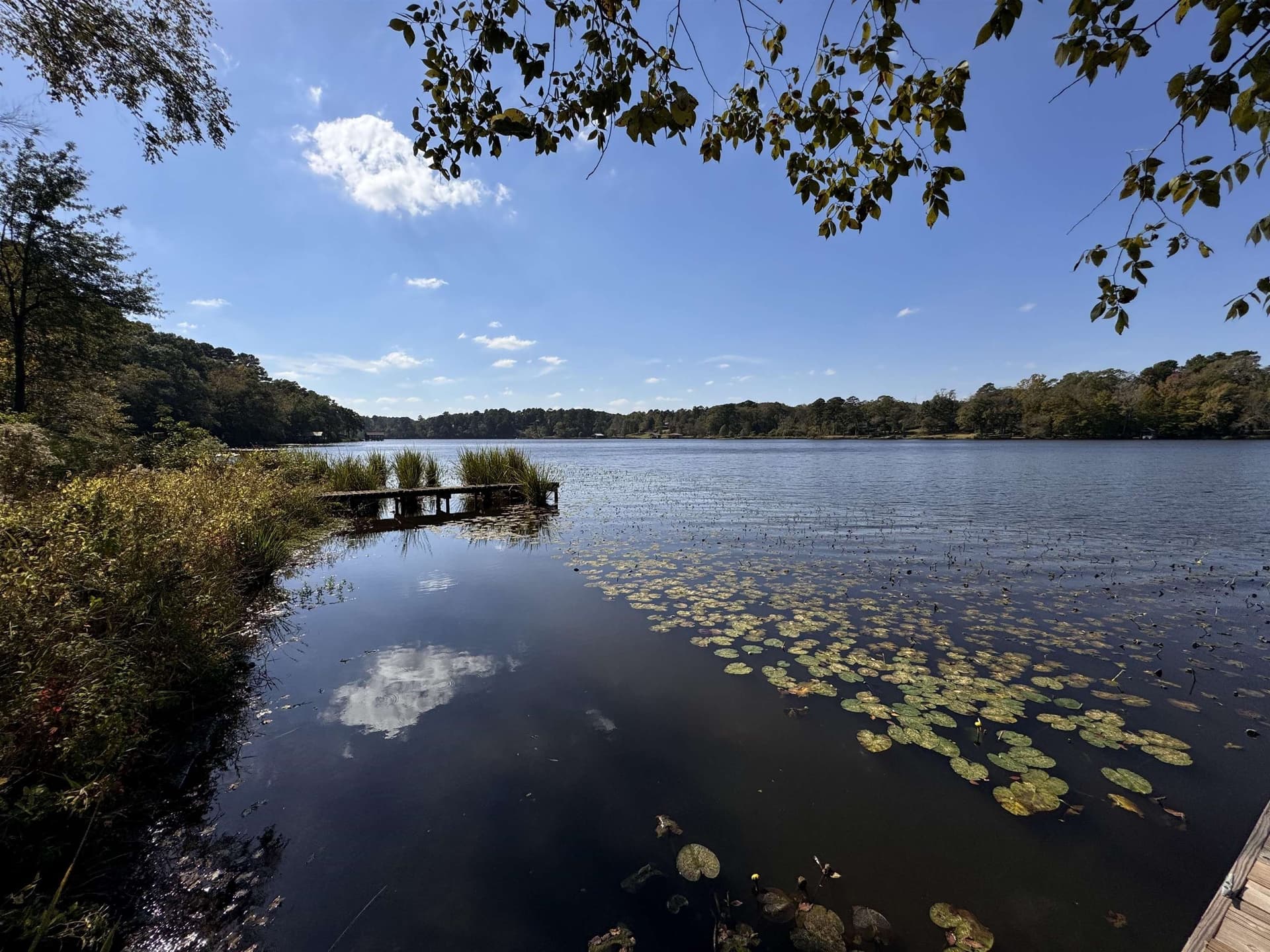 1.7 acres in Texas County - photo 2