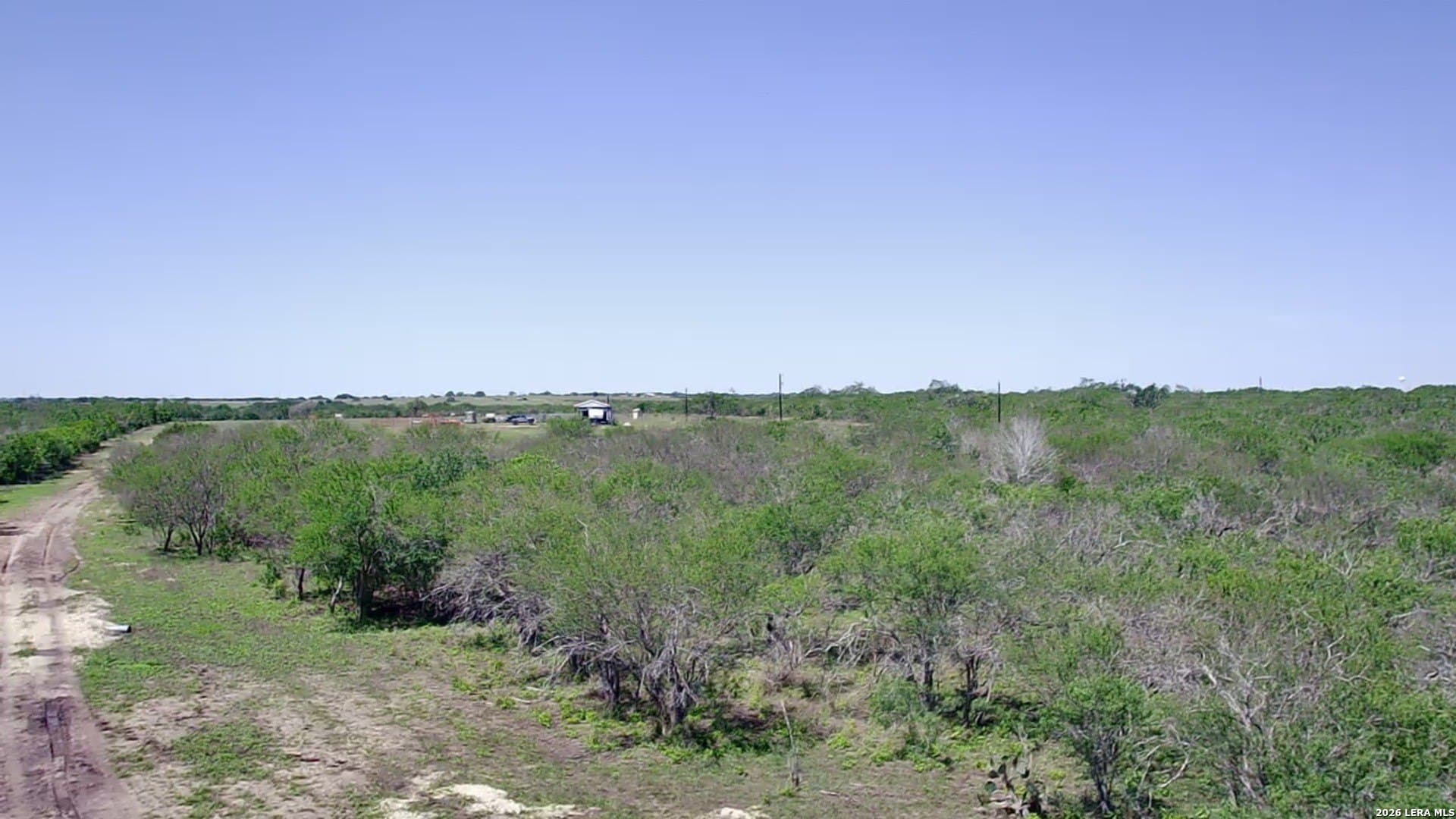 25.03 acres in Karnes County - photo 9