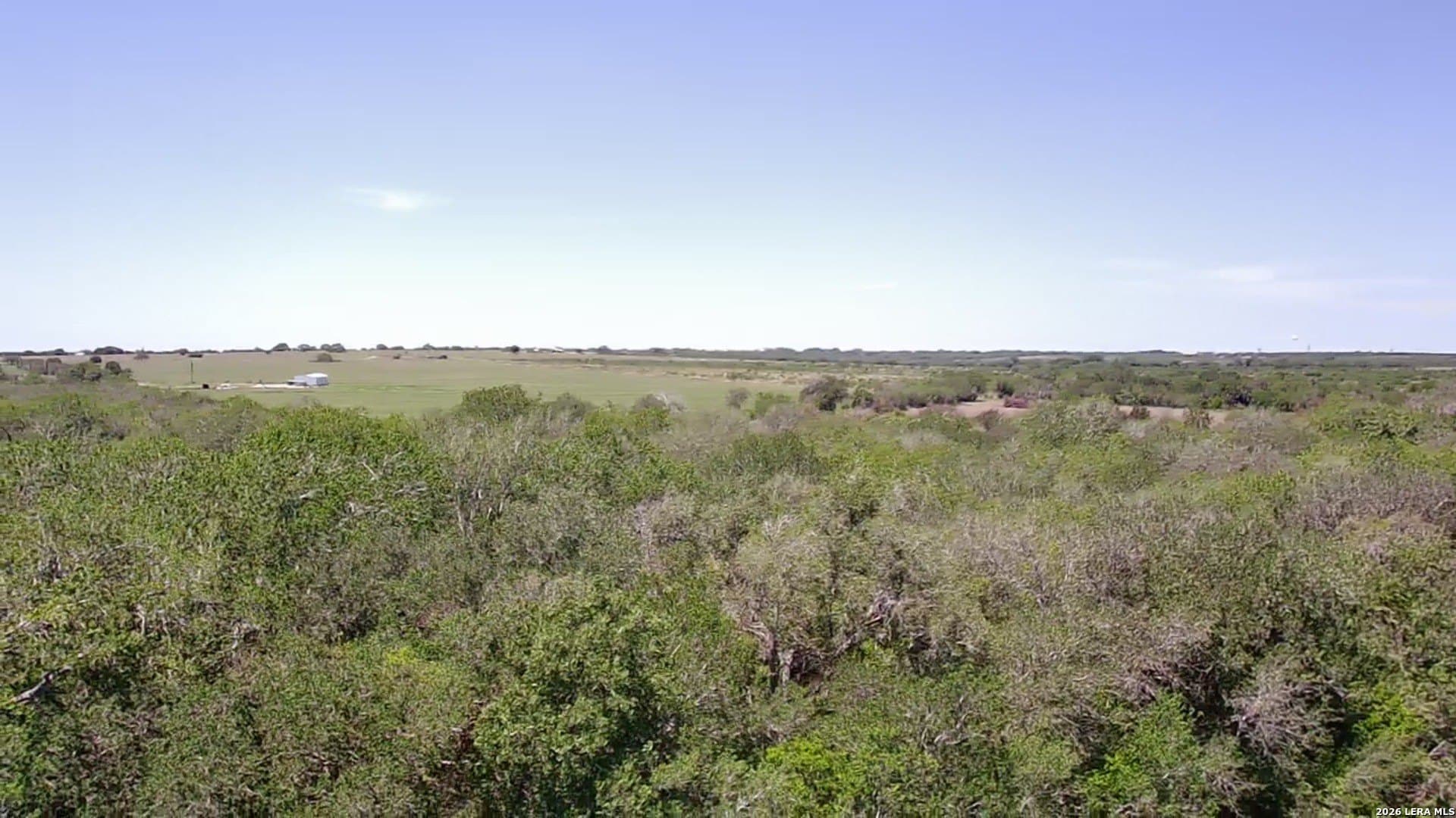 25.03 acres in Karnes County - photo 12