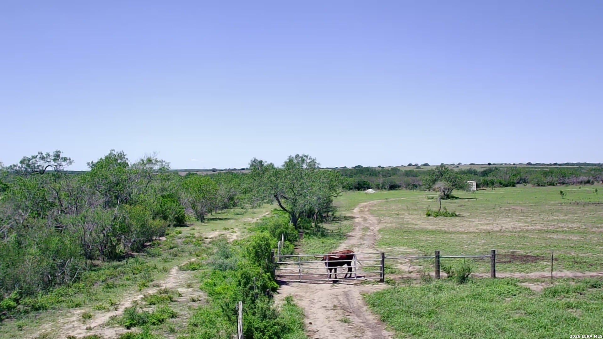 25.03 acres in Karnes County gallery image 4