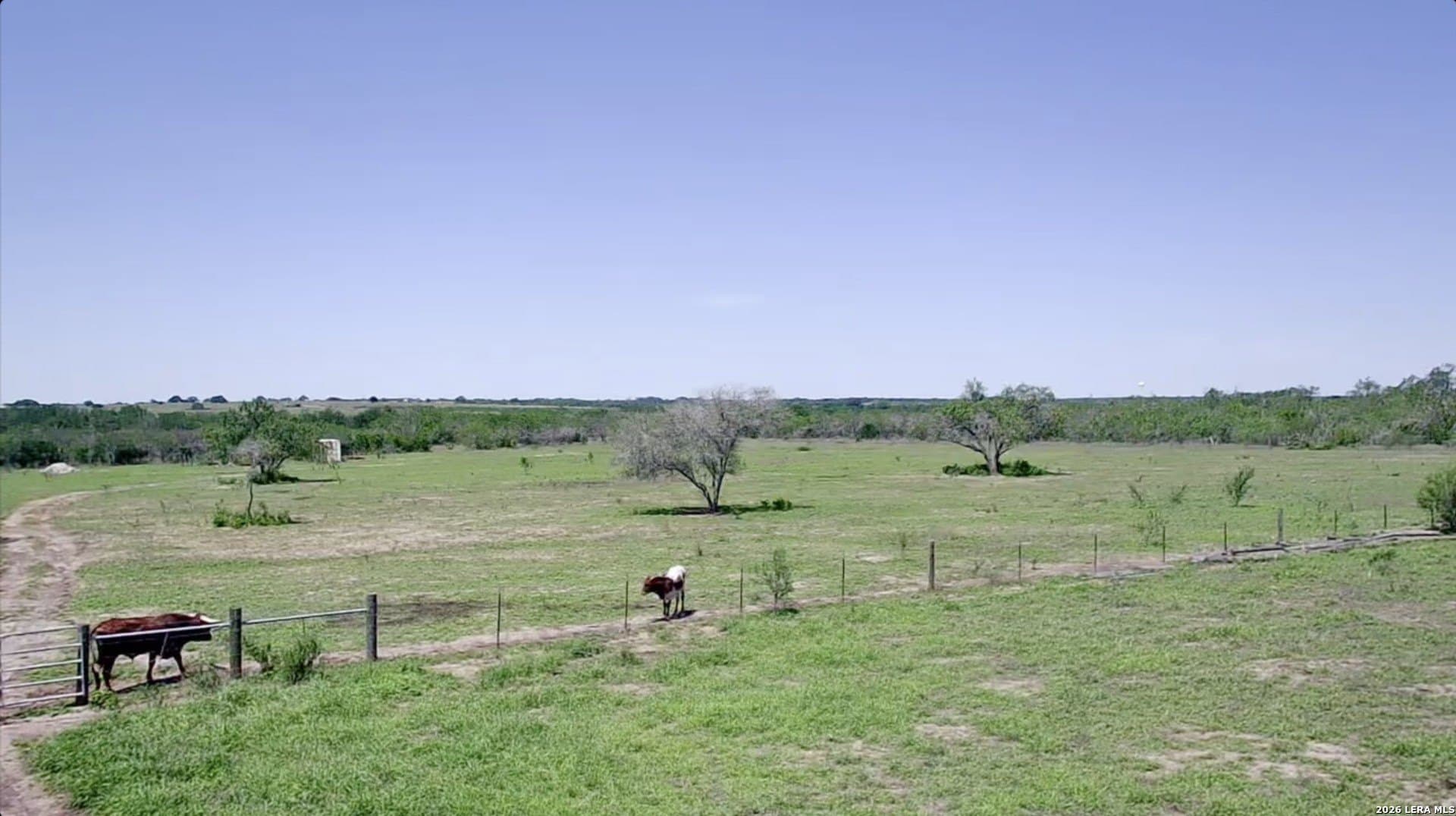 25.03 acres in Karnes County - photo 13