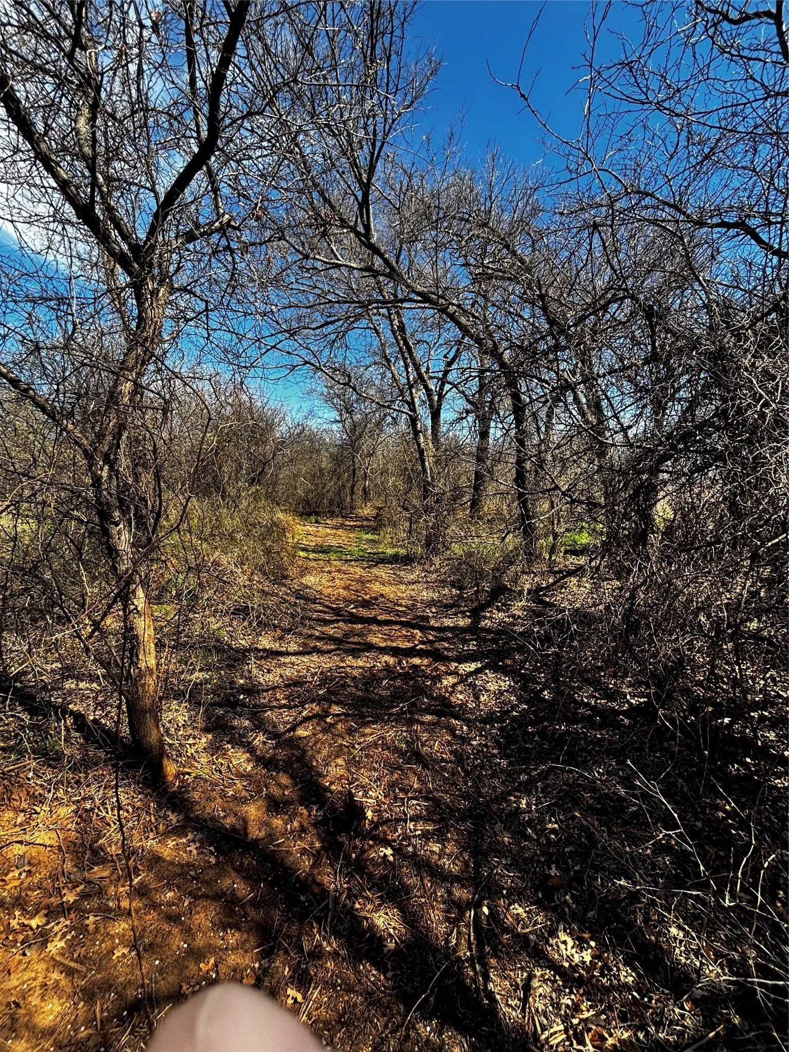 10.01 acres in Montague County - photo 5