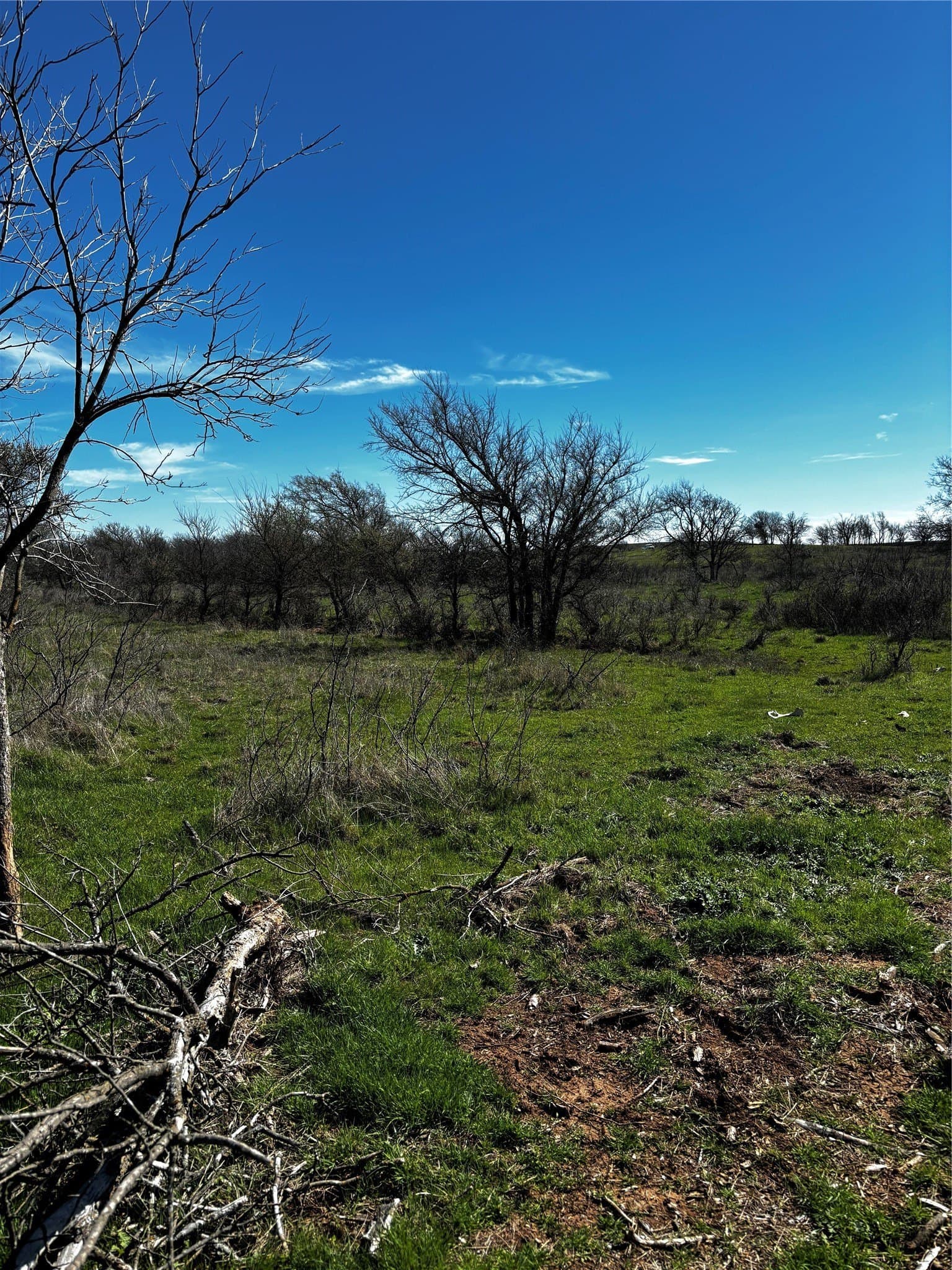 10.01 acres in Montague County - photo 2