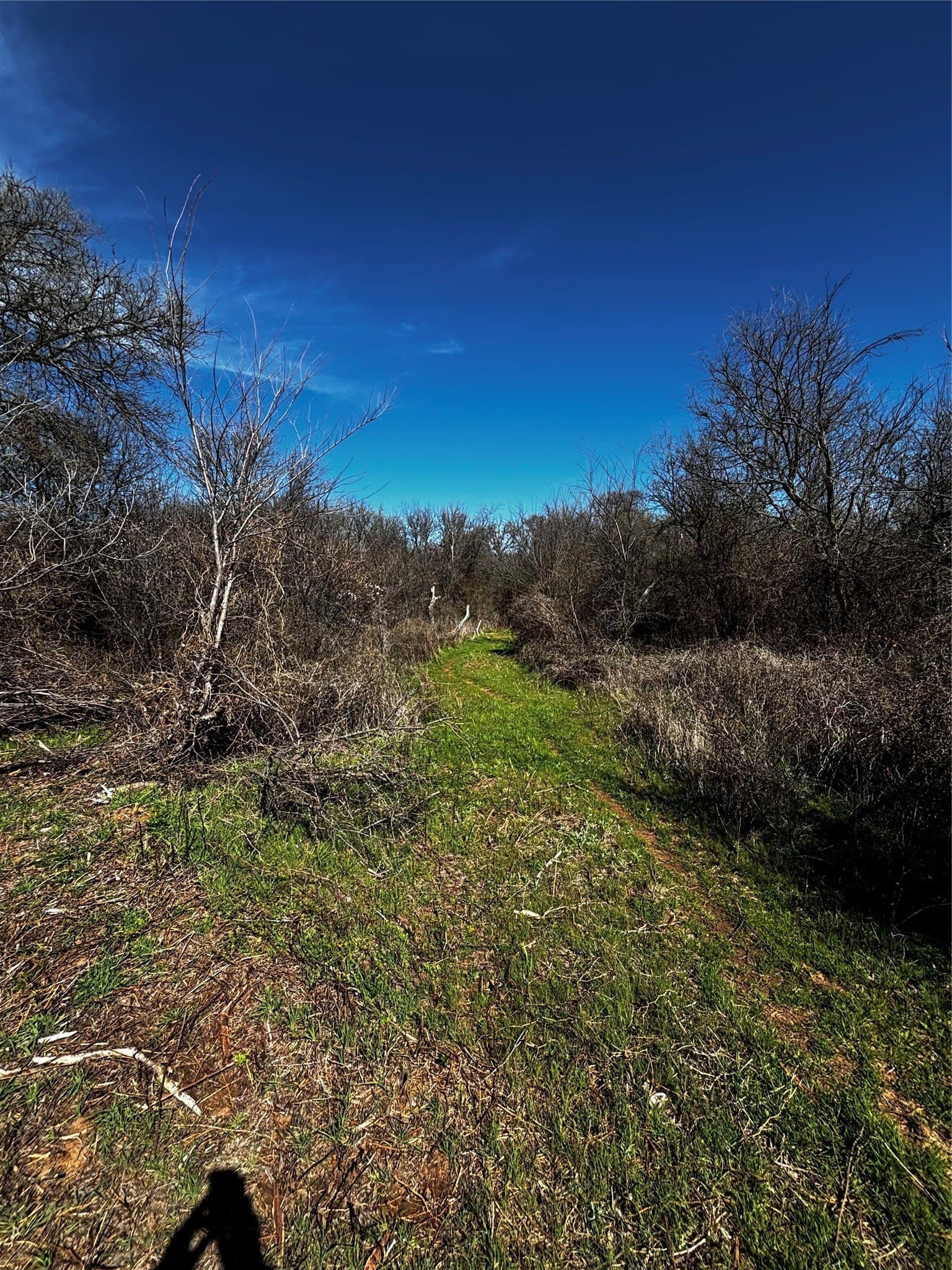 10.01 acres in Montague County - photo 4