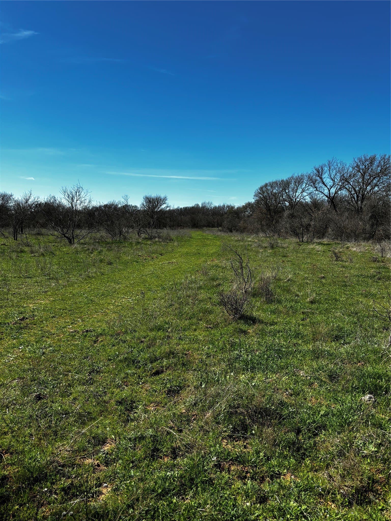 10.01 acres in Montague County - photo 8