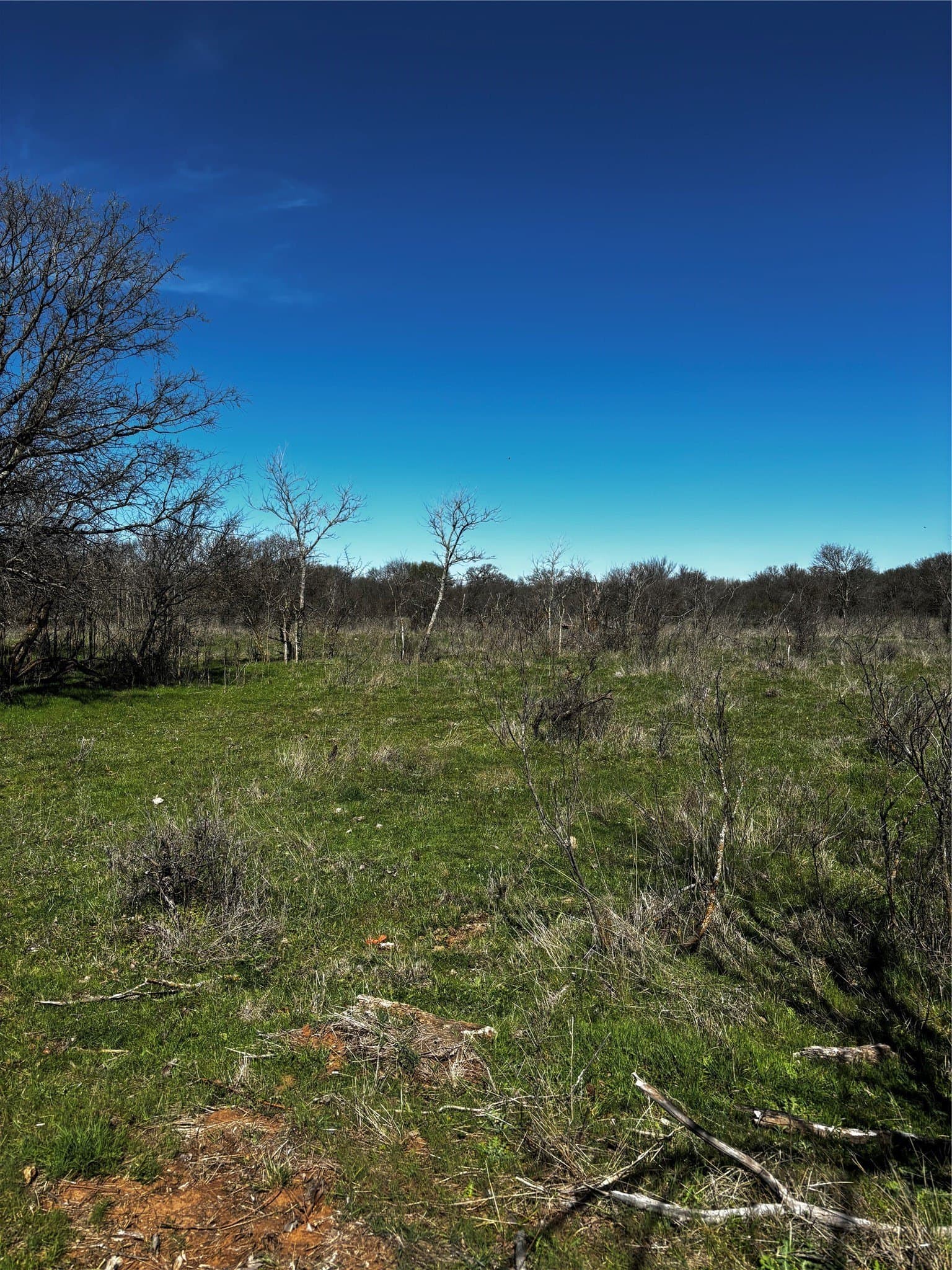 10.01 acres in Montague County - photo 3