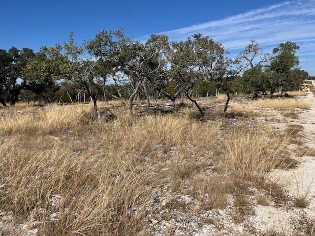 10.02 acres in Gillespie County featured view