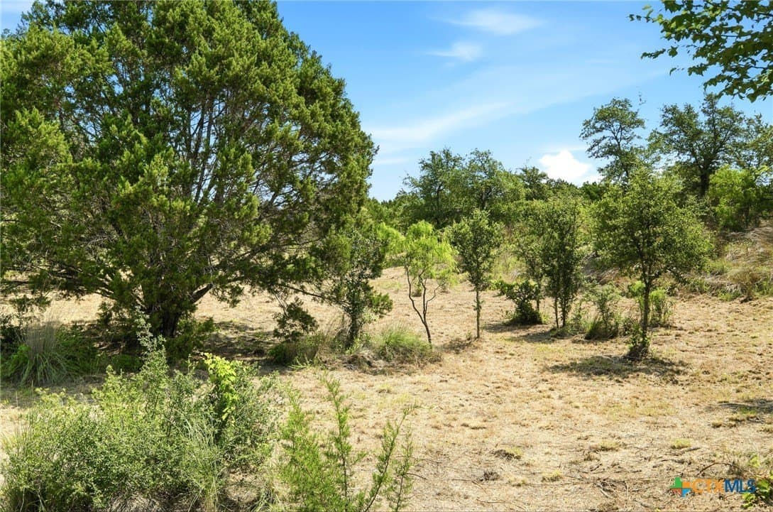 2.82 acres in Burnet County - photo 8