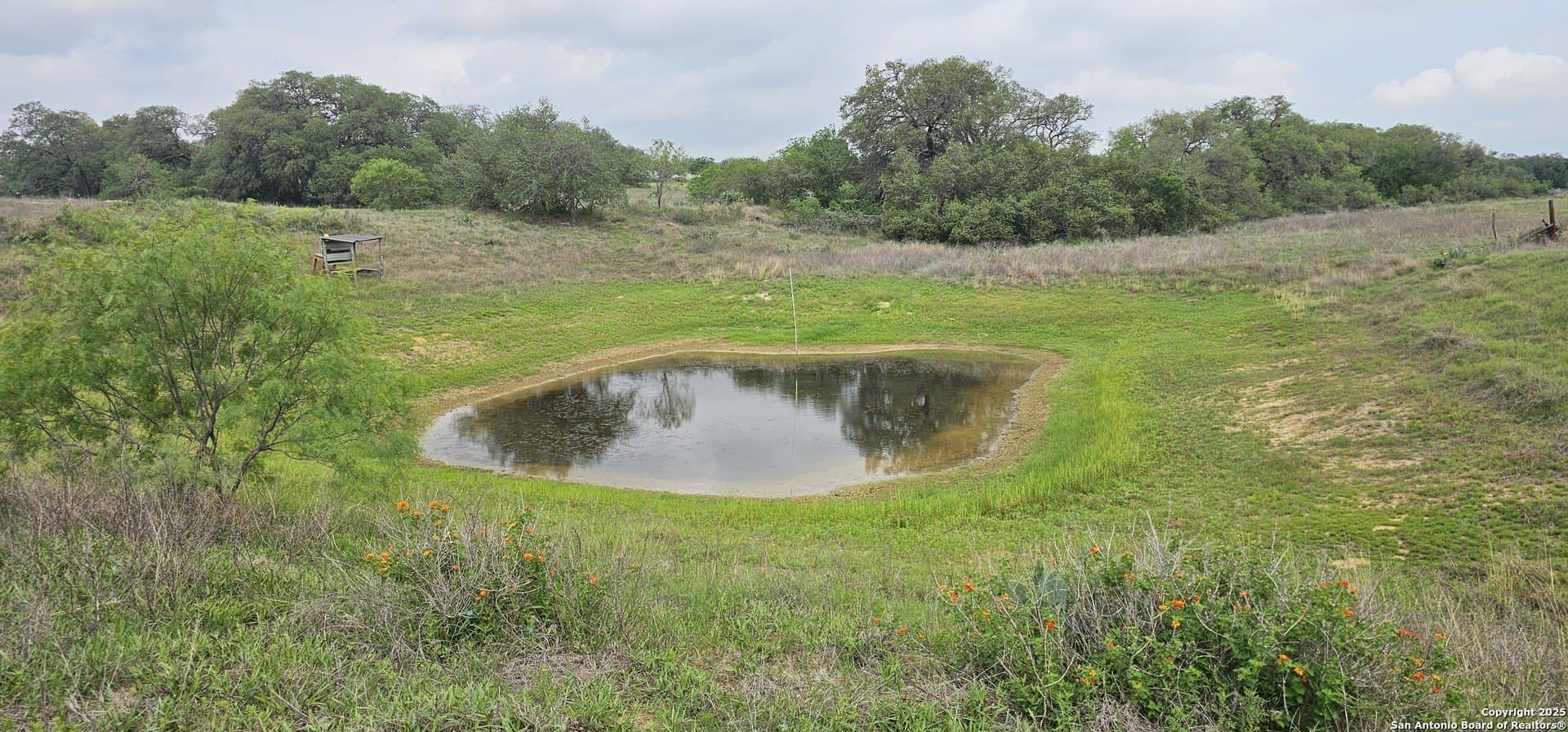 13.01 acres in Atascosa County gallery image 2