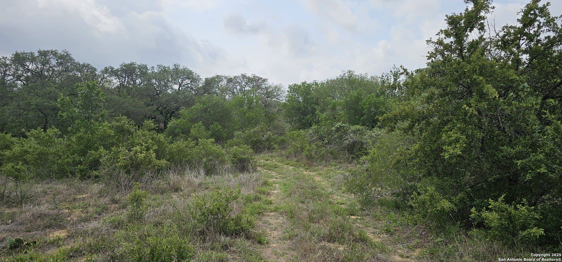 13.01 acres in Atascosa County gallery image 3
