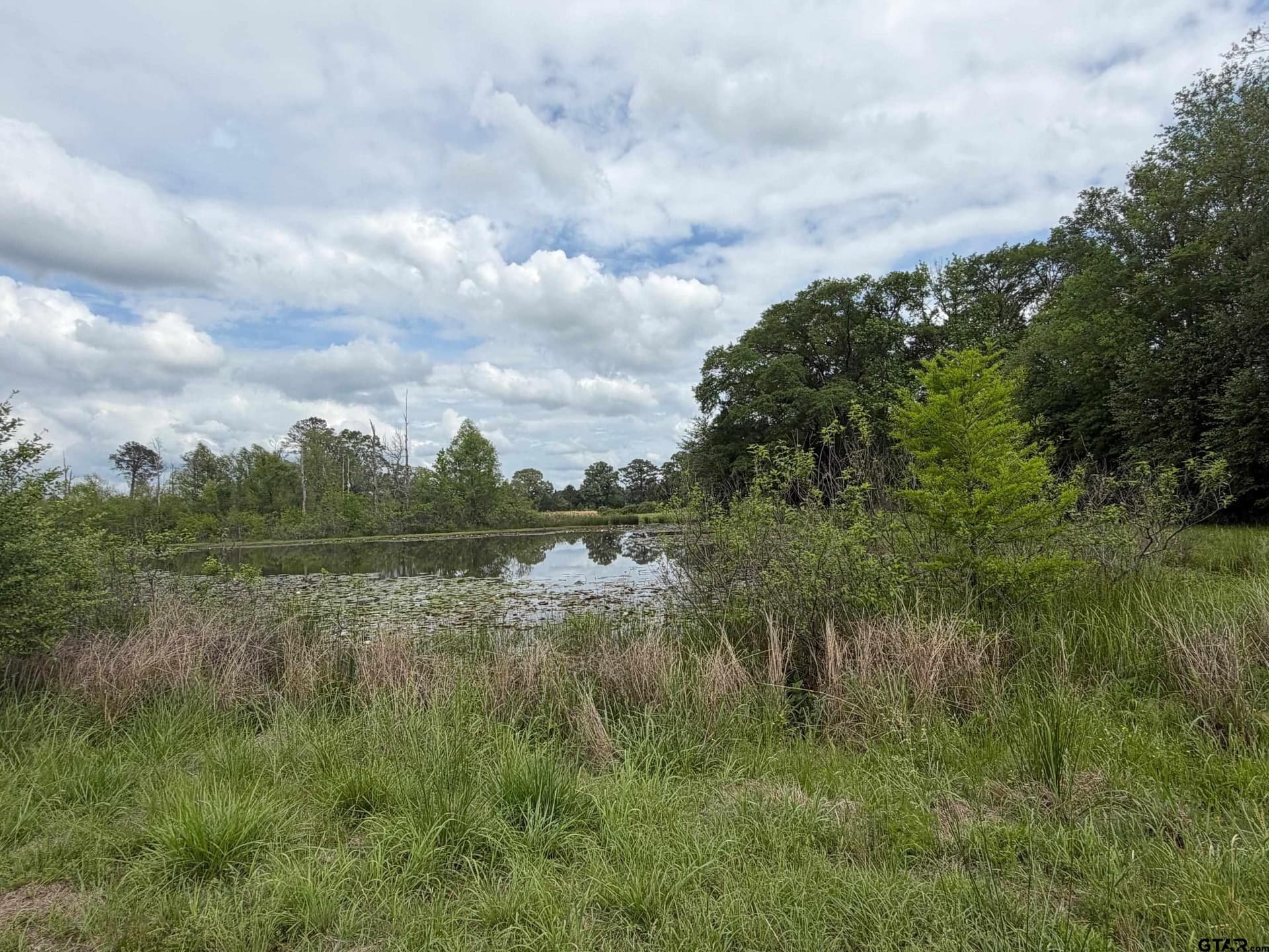 147 acres in Marion County gallery image 3