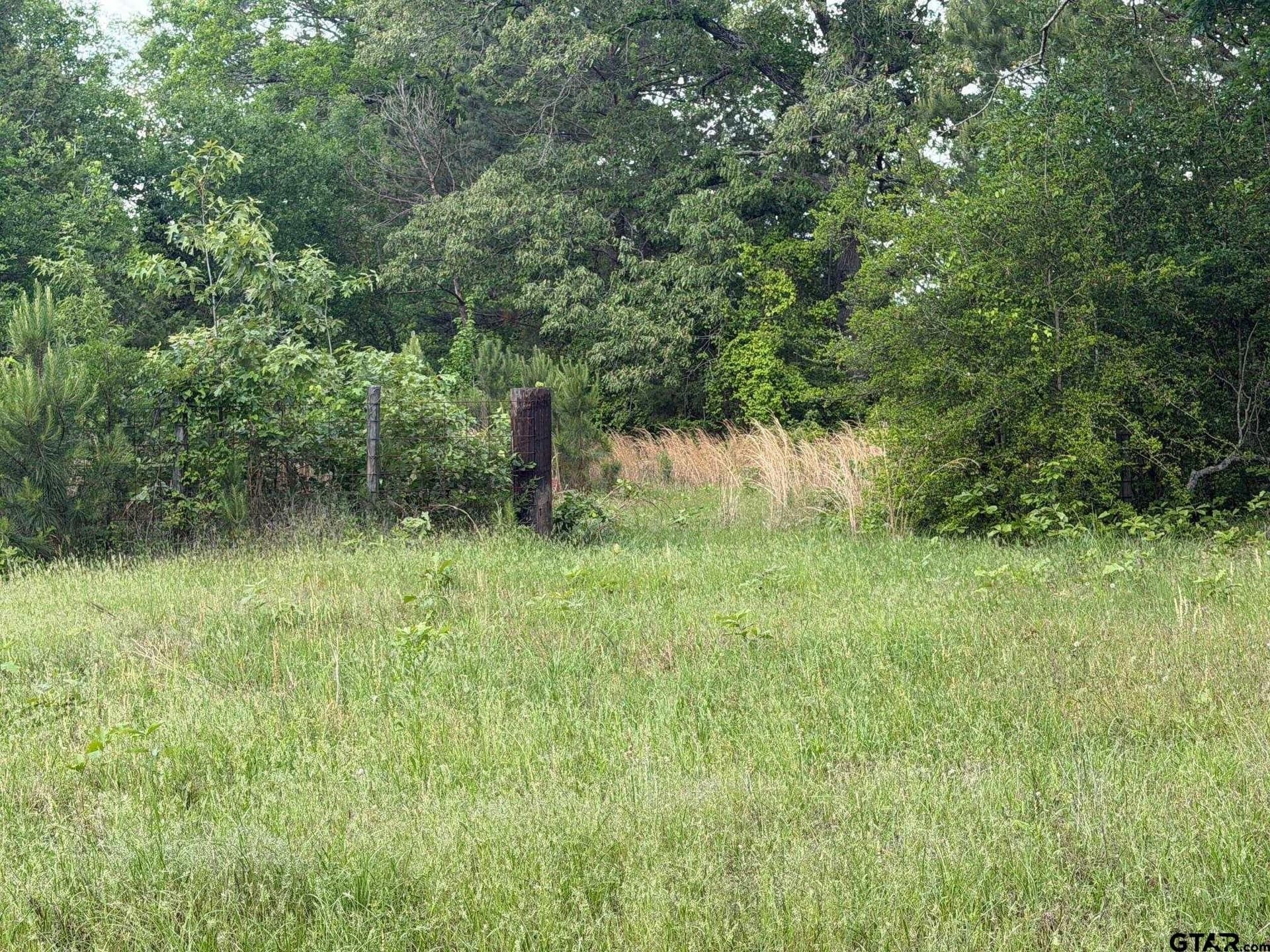 147 acres in Marion County gallery image 2