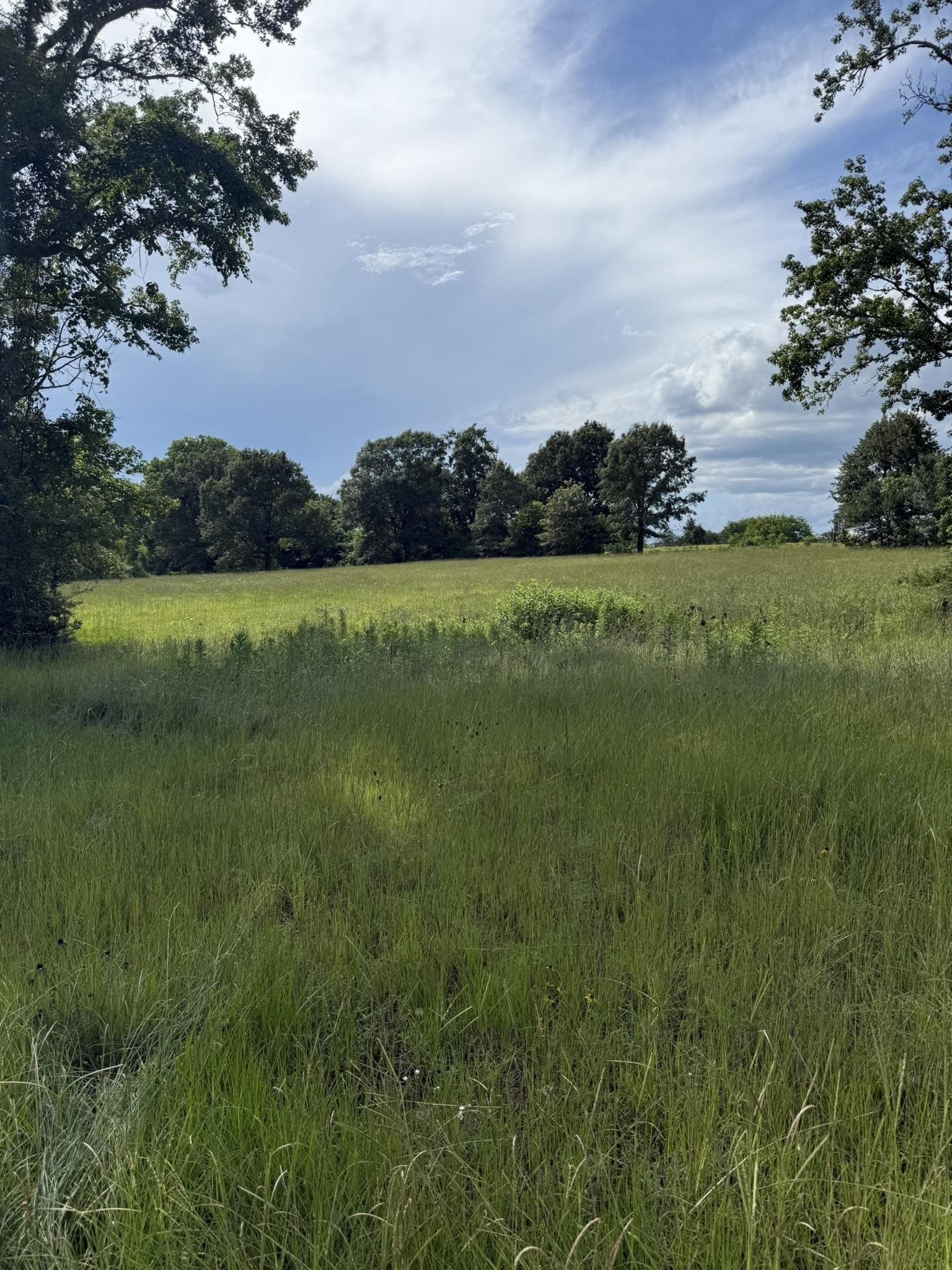 12.07 acres in Gregg County - photo 50