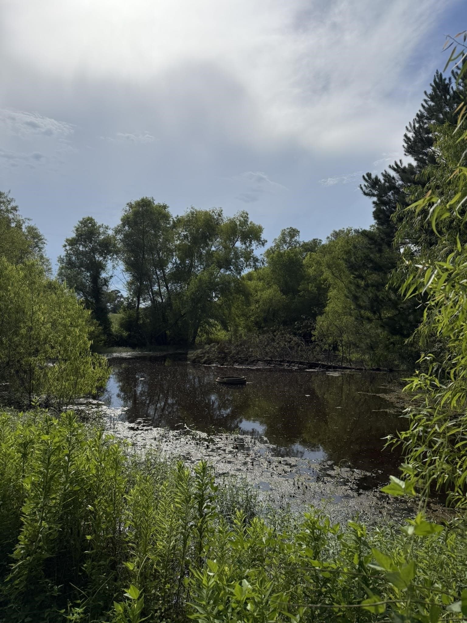 12.07 acres in Gregg County - photo 47