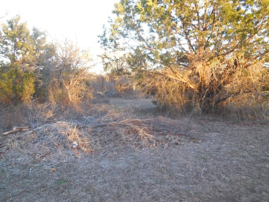 1.5 acres in Eastland County gallery image 3