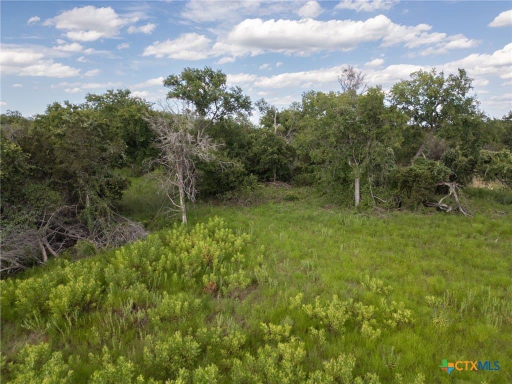 123.1 acres in Coryell County featured view