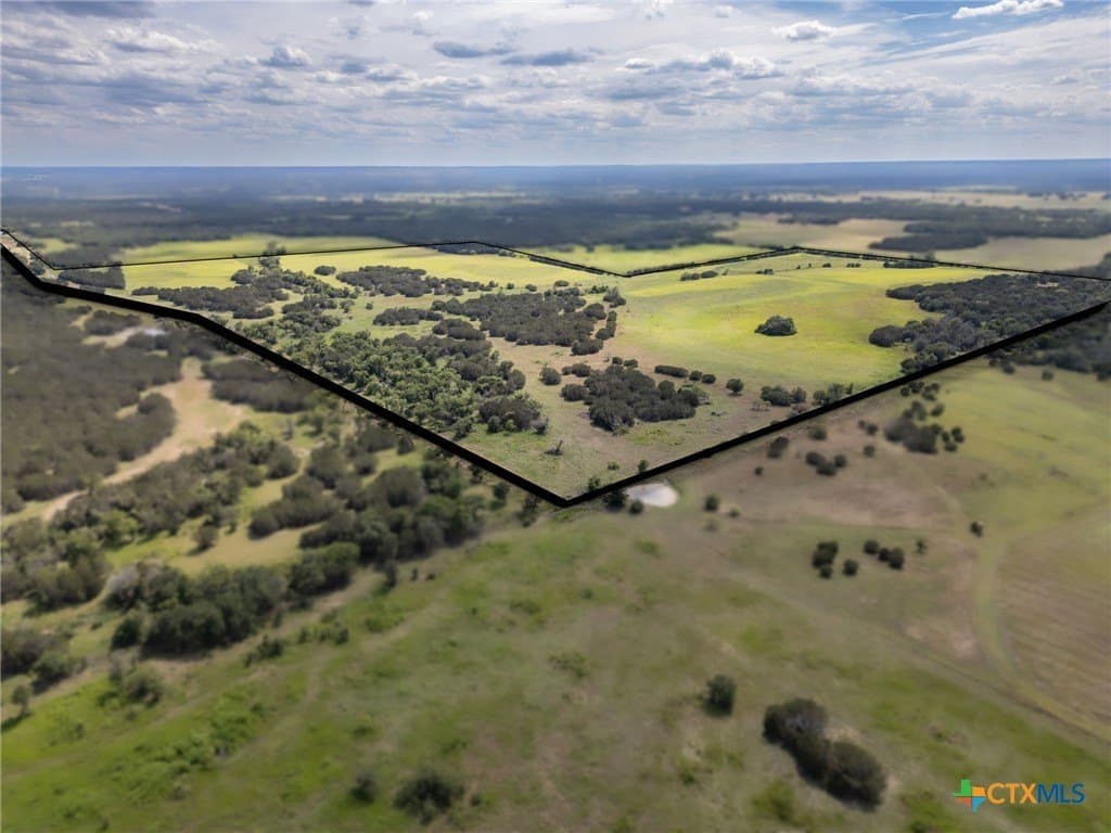 123.1 acres in Coryell County gallery image 3