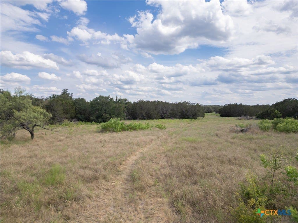 123.1 acres in Coryell County - photo 13
