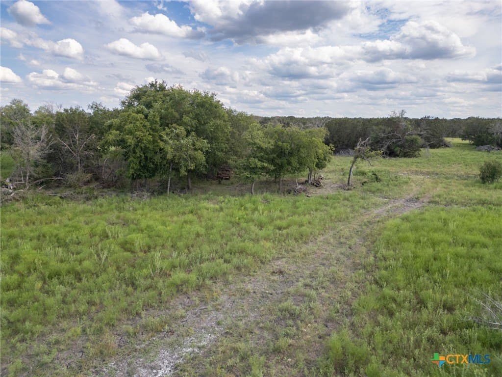 123.1 acres in Coryell County - photo 11