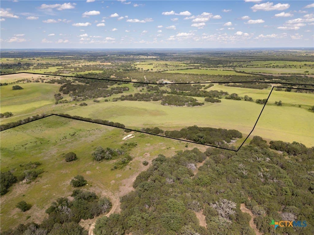 123.1 acres in Coryell County gallery image 4
