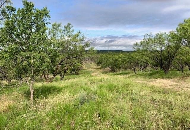 14.41 acres in Shackelford County gallery image 3