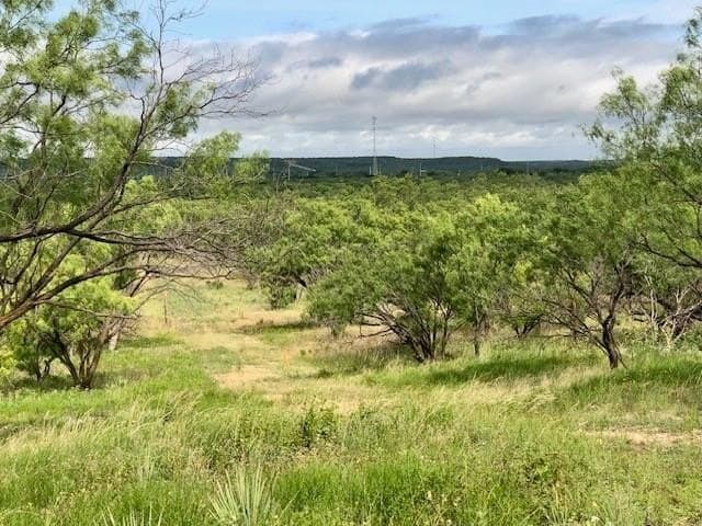 14.41 acres in Shackelford County gallery image 4
