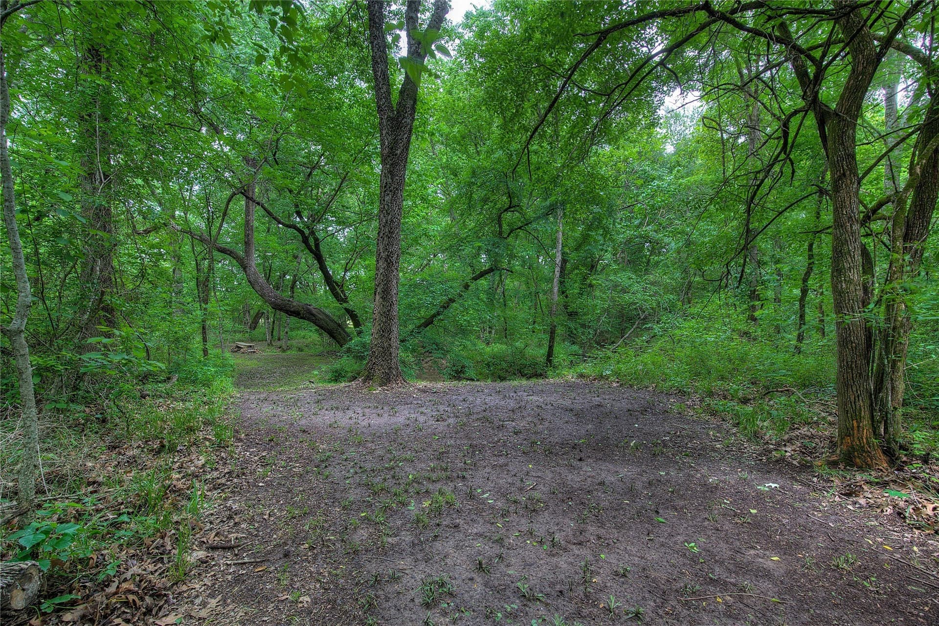 42.43 acres in Hopkins County - photo 30