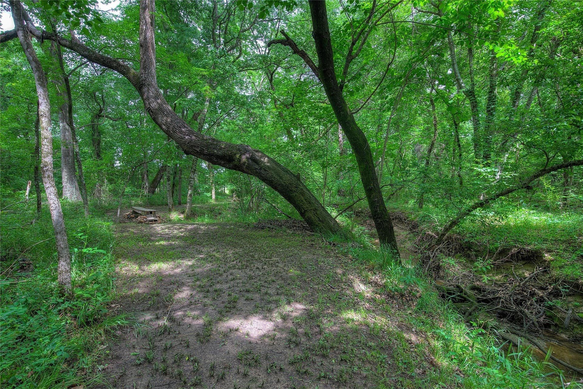 42.43 acres in Hopkins County - photo 31