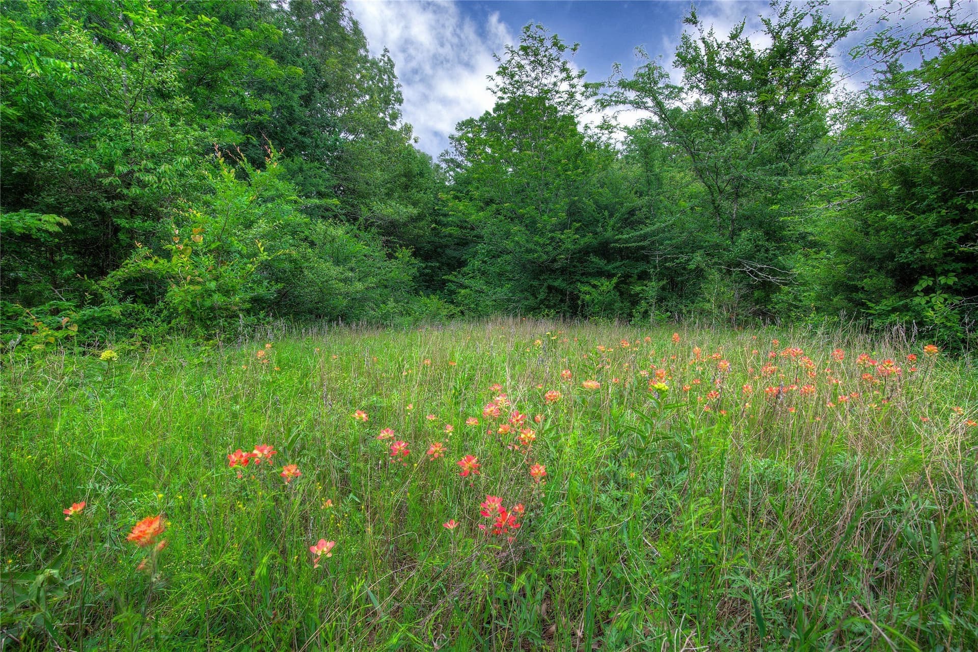 42.43 acres in Hopkins County - photo 20