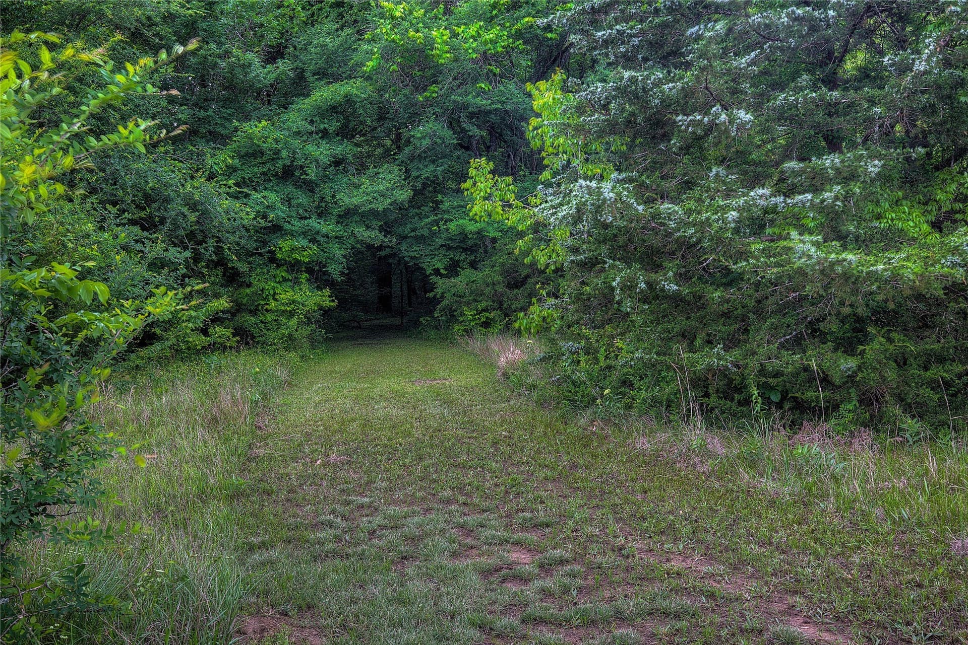 42.43 acres in Hopkins County - photo 28