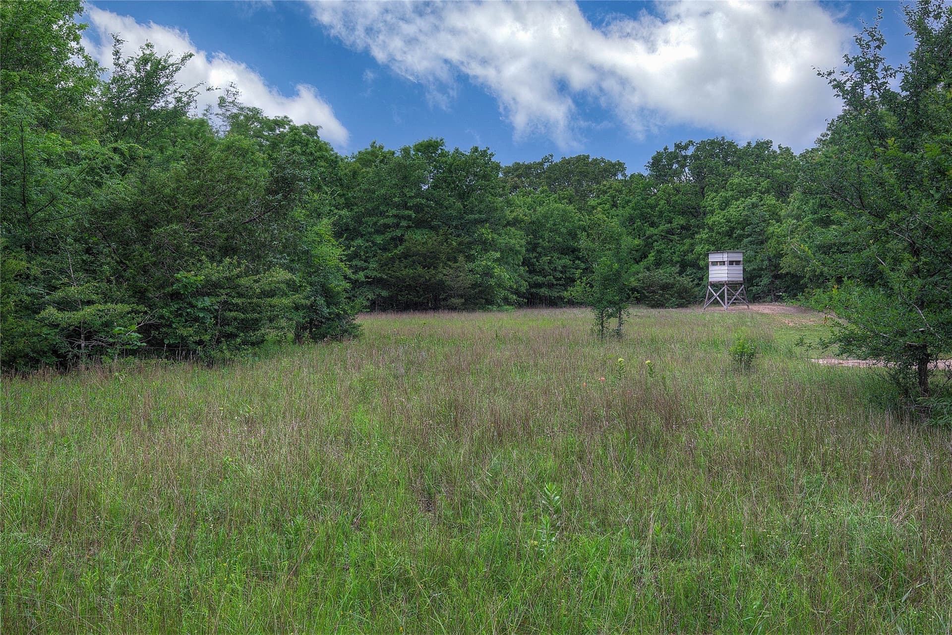 42.43 acres in Hopkins County - photo 22