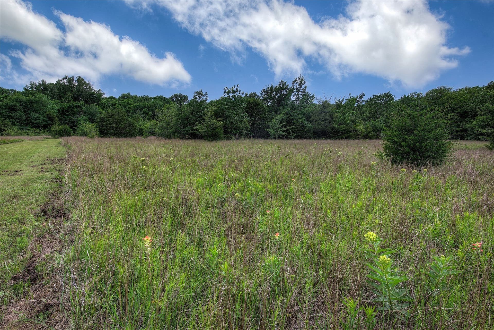 42.43 acres in Hopkins County - photo 26