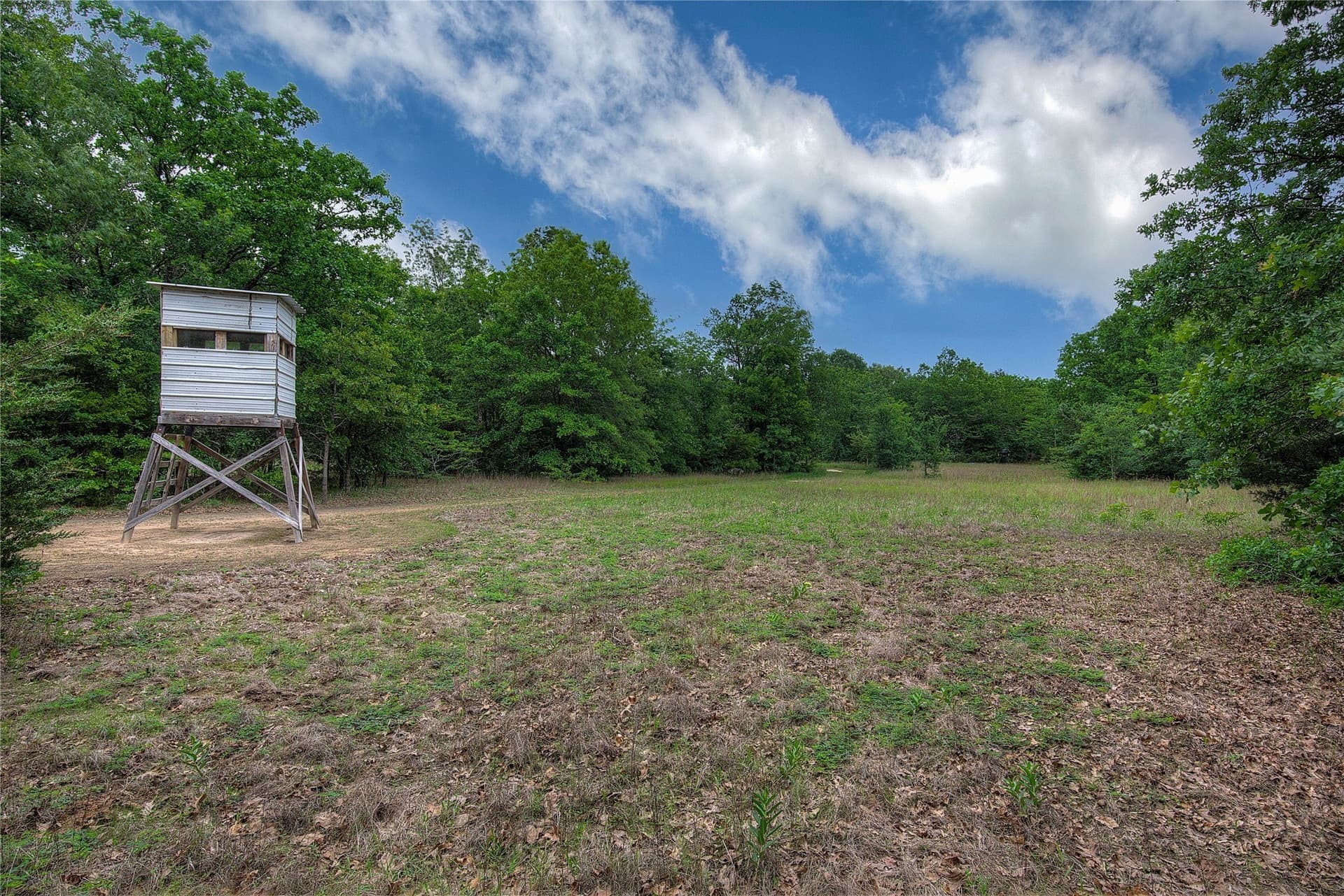 42.43 acres in Hopkins County - photo 21