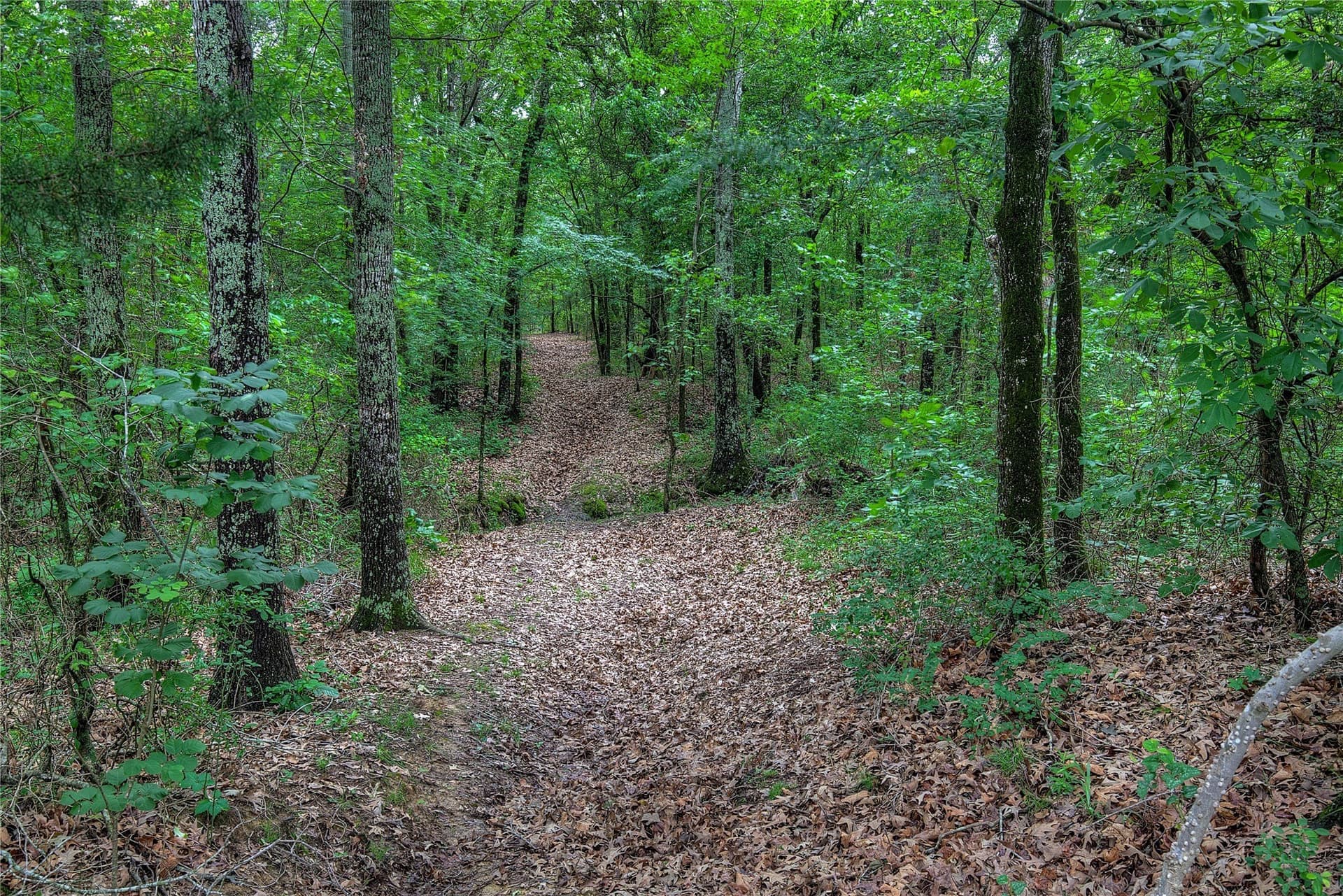 42.43 acres in Hopkins County - photo 29