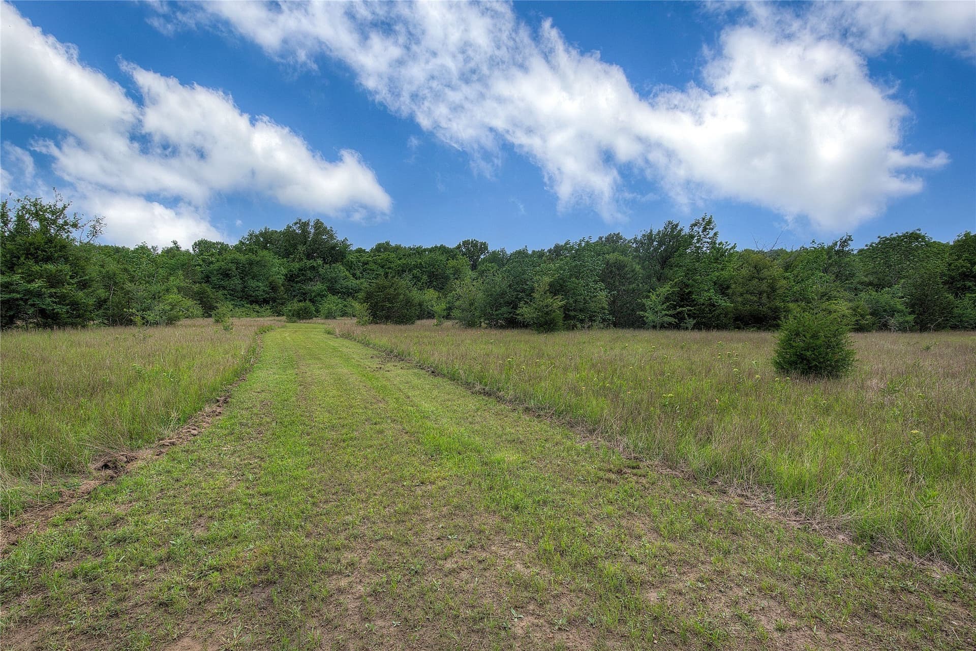 42.43 acres in Hopkins County - photo 25