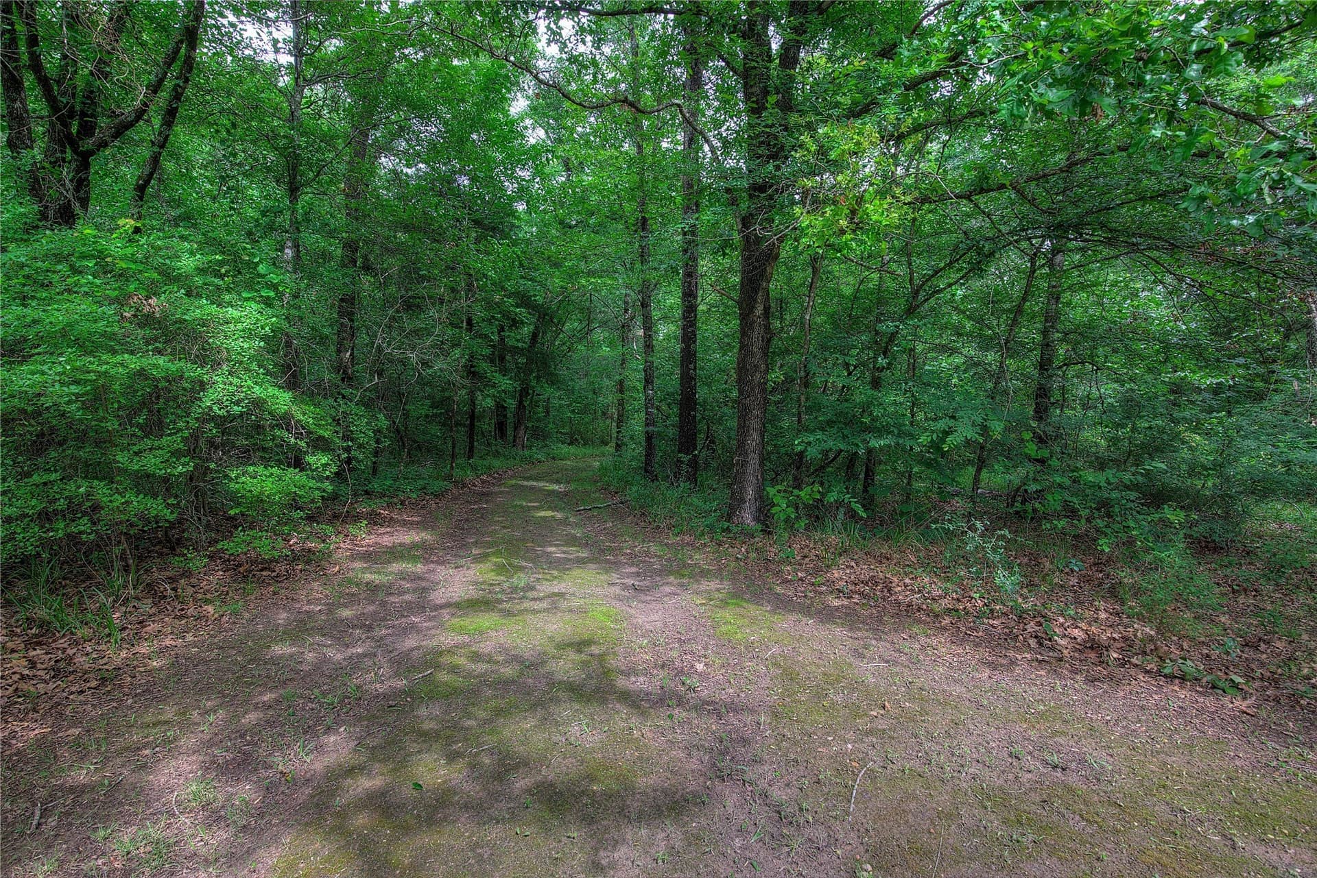 42.43 acres in Hopkins County - photo 33
