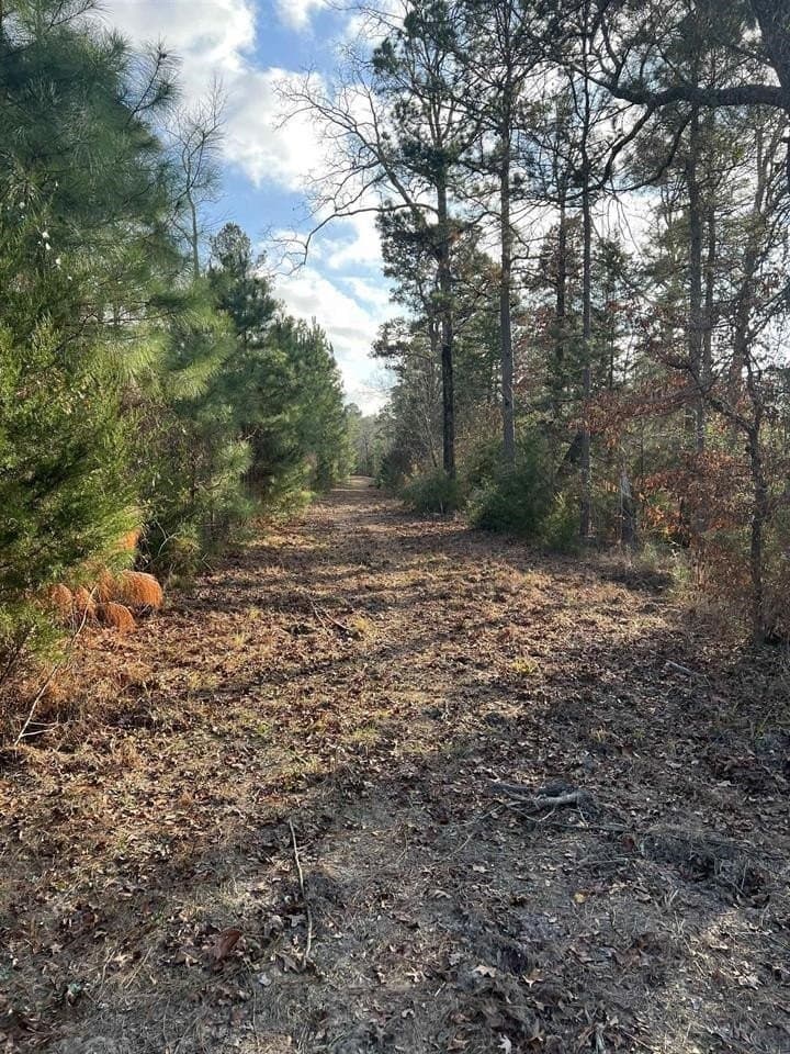 4 acres in Texas County - photo 8
