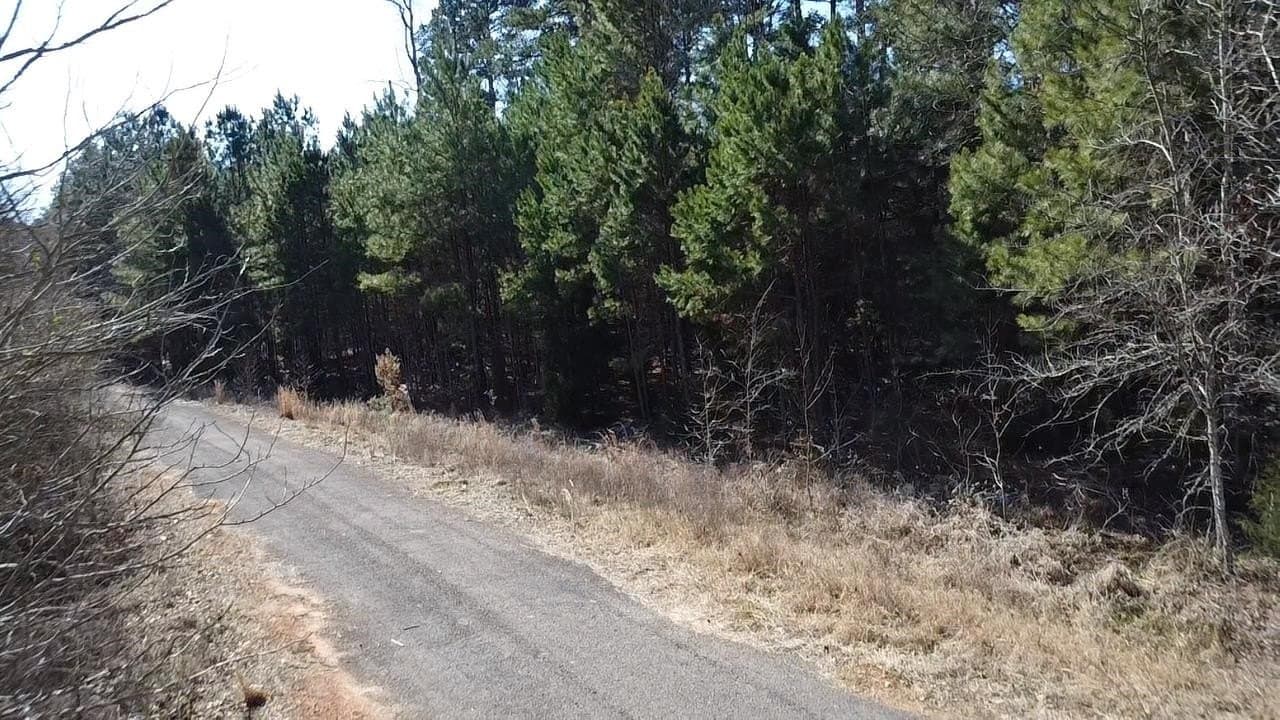 4 acres in Texas County - photo 9