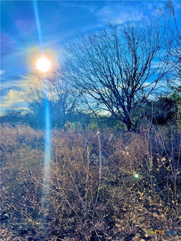 11.48 acres in Guadalupe County - photo 11