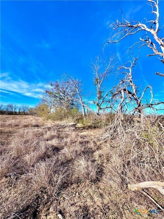 11.48 acres in Guadalupe County - photo 10