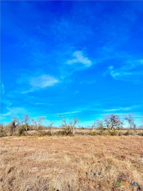 11.48 acres in Guadalupe County - photo 8