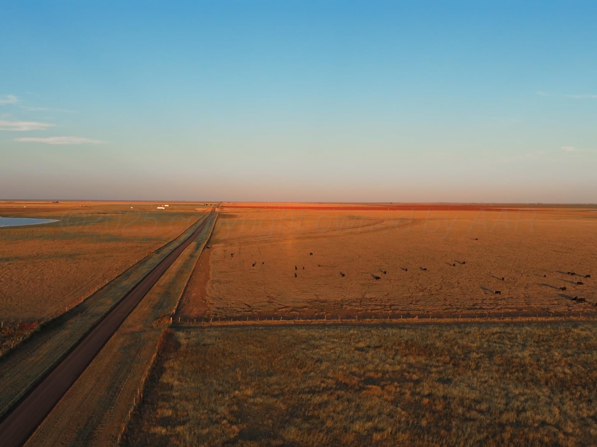 10 acres in Randall County gallery image 2