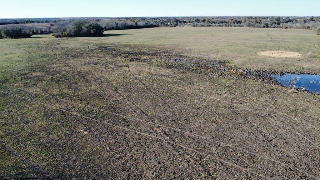 64 acres in Colorado County - photo 20
