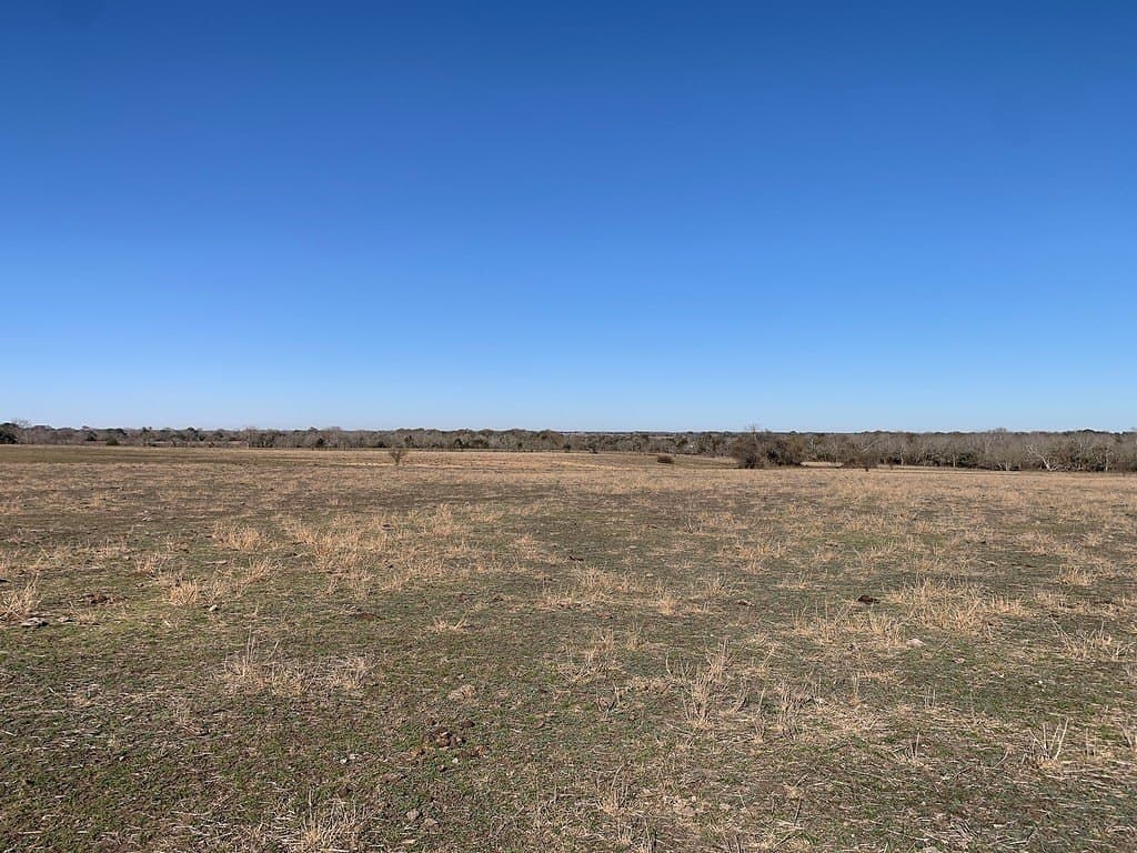 64 acres in Colorado County - photo 8