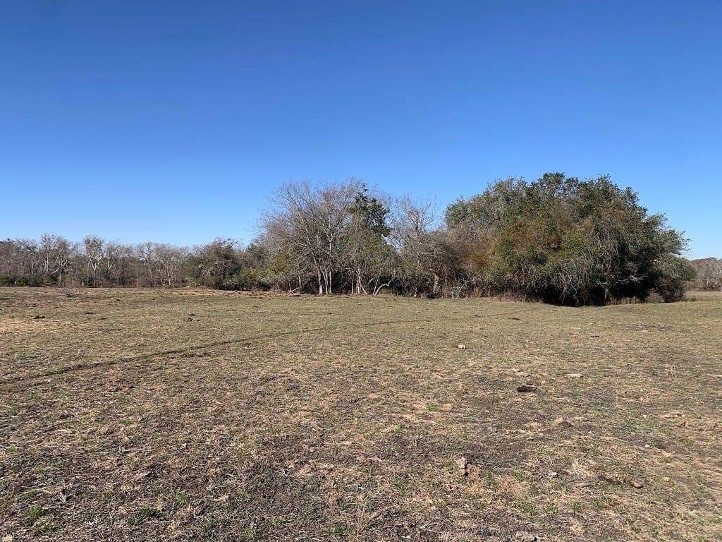 64 acres in Colorado County gallery image 2