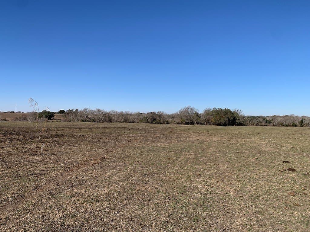 64 acres in Colorado County - photo 13